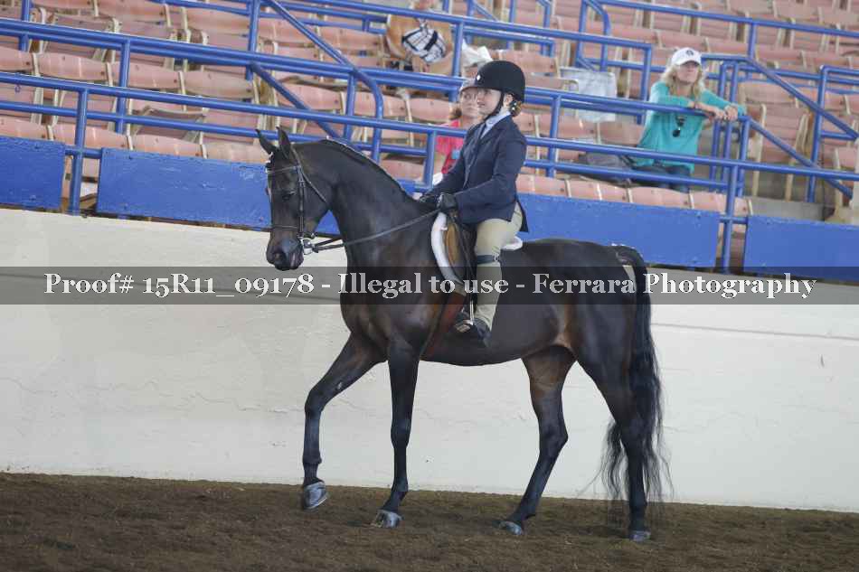 Proof 15R11_09178