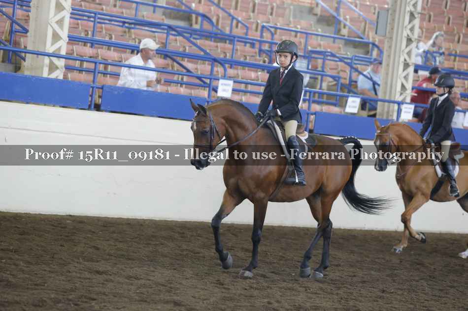 Proof 15R11_09181