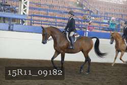 15R11_09182 proof