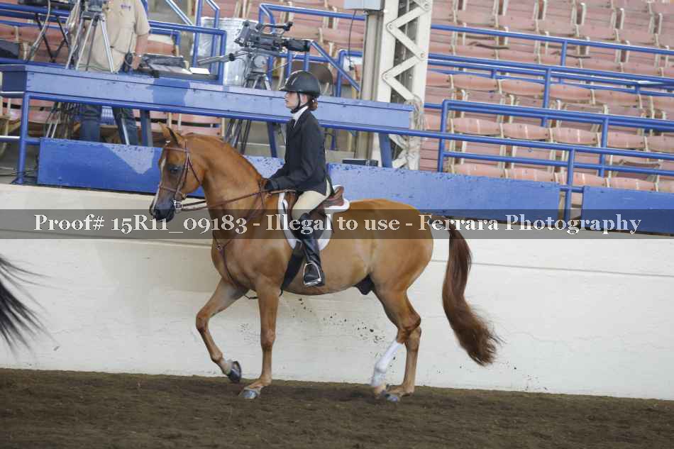 Proof 15R11_09183