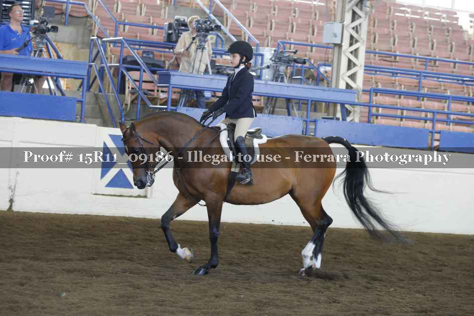 Proof 15R11_09186