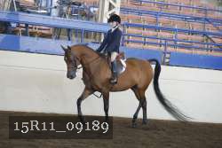 15R11_09189 proof
