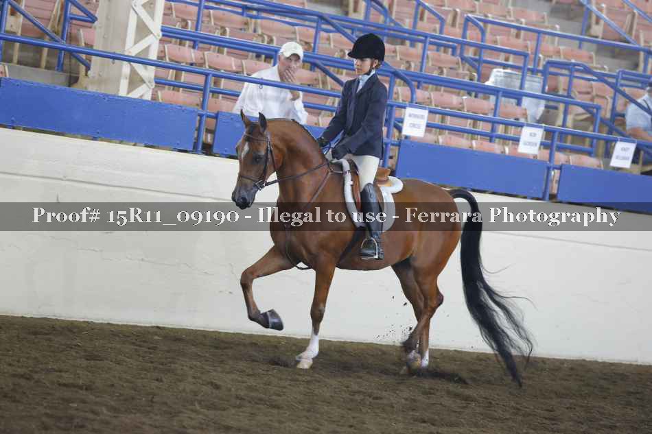 Proof 15R11_09190