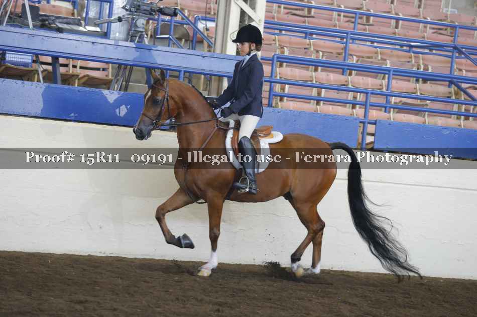 Proof 15R11_09191