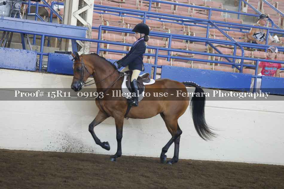 Proof 15R11_09193