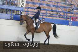 15R11_09193 proof