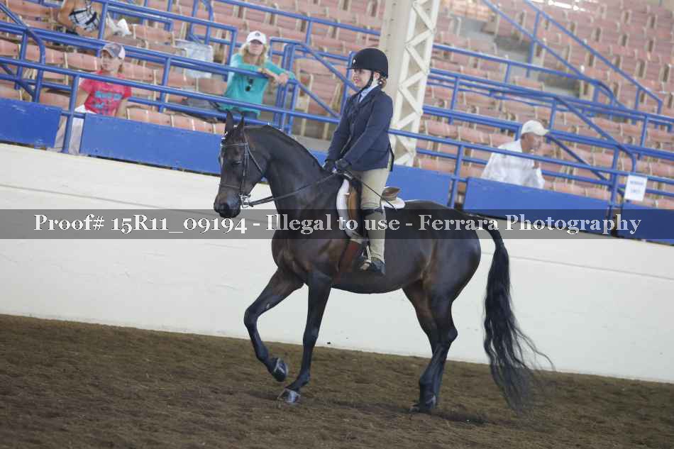 Proof 15R11_09194