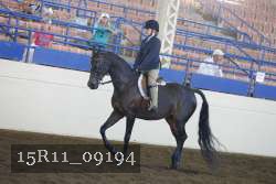 15R11_09194 proof