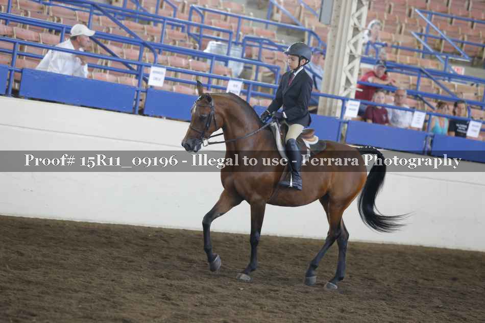 Proof 15R11_09196