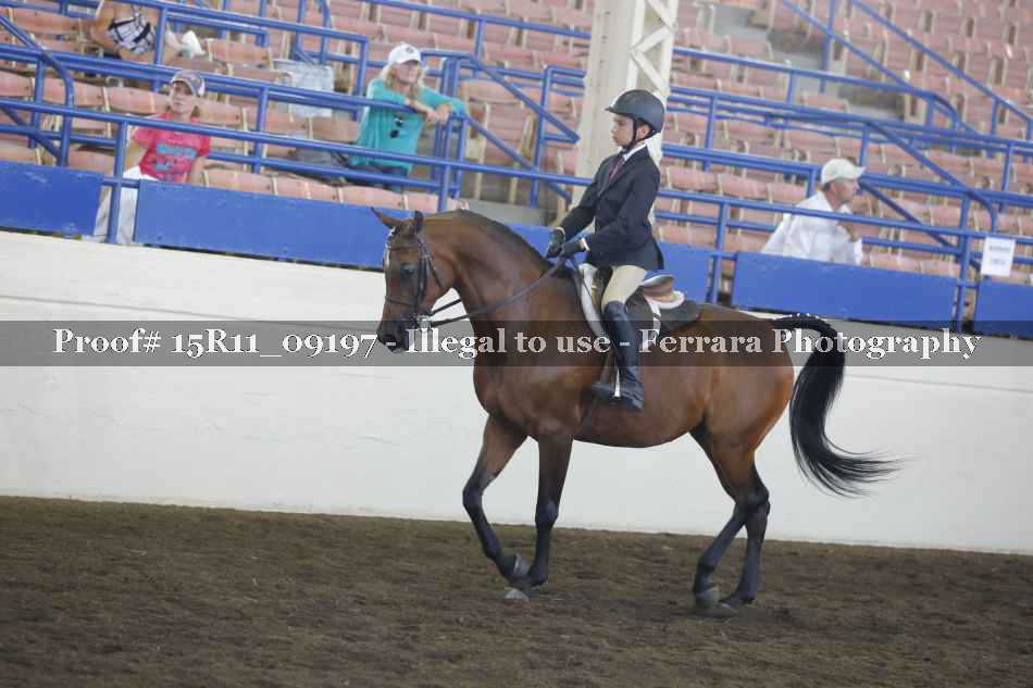Proof 15R11_09197