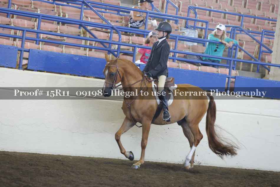 Proof 15R11_09198