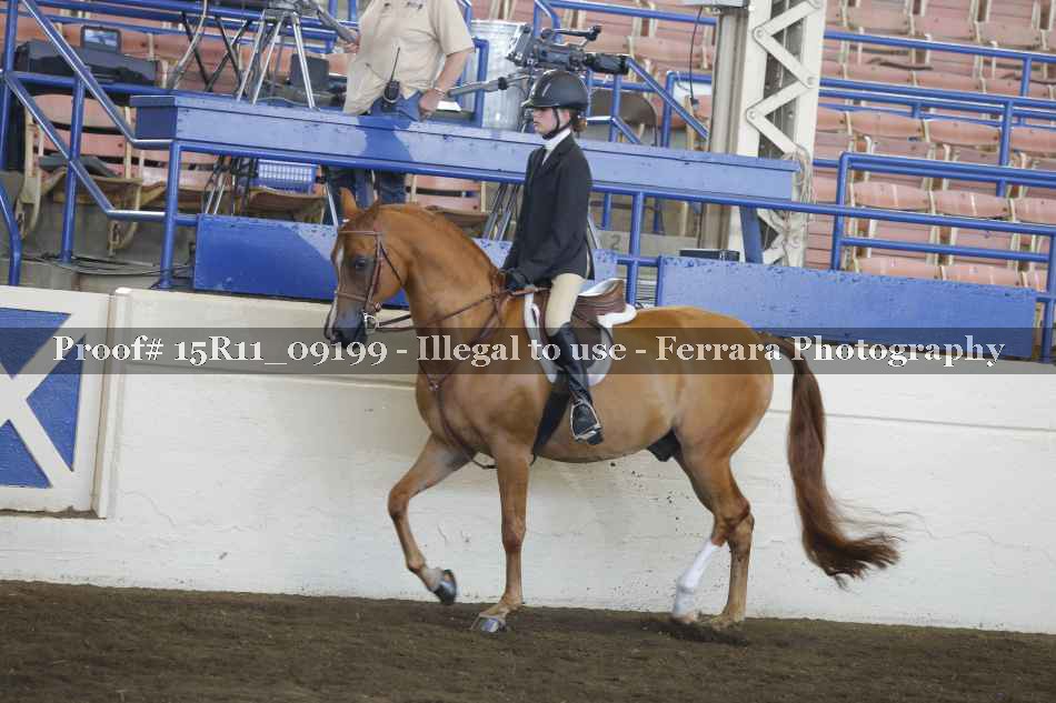 Proof 15R11_09199
