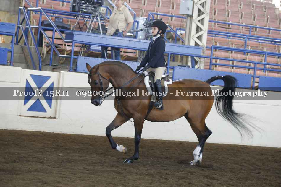 Proof 15R11_09200