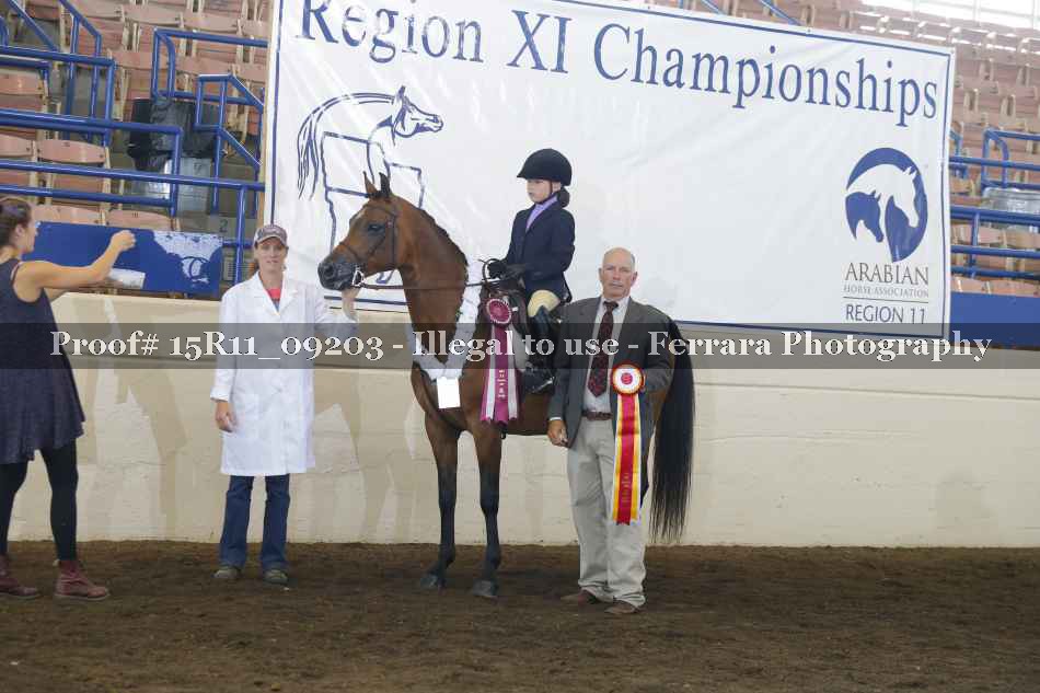 Proof 15R11_09203