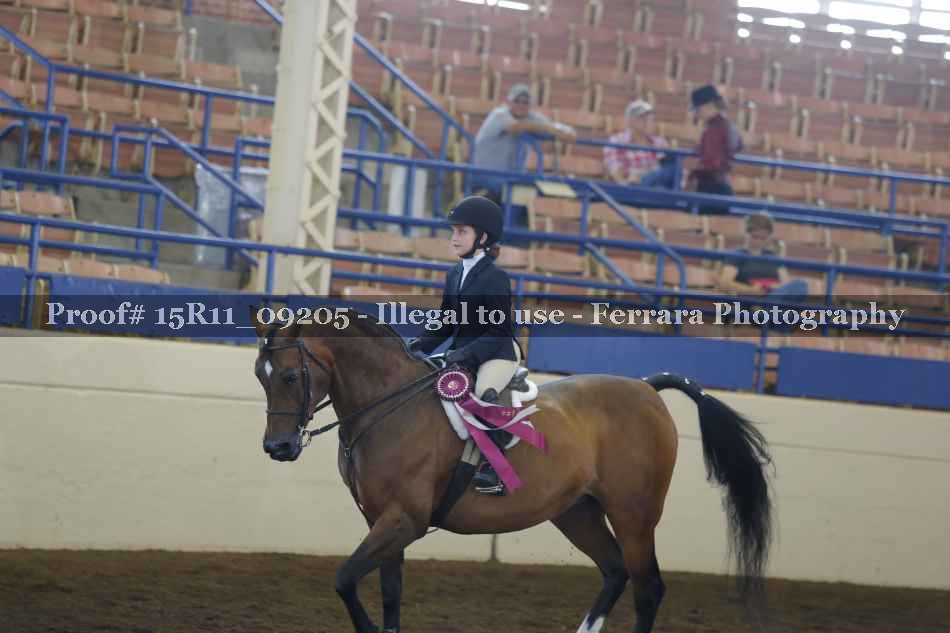 Proof 15R11_09205