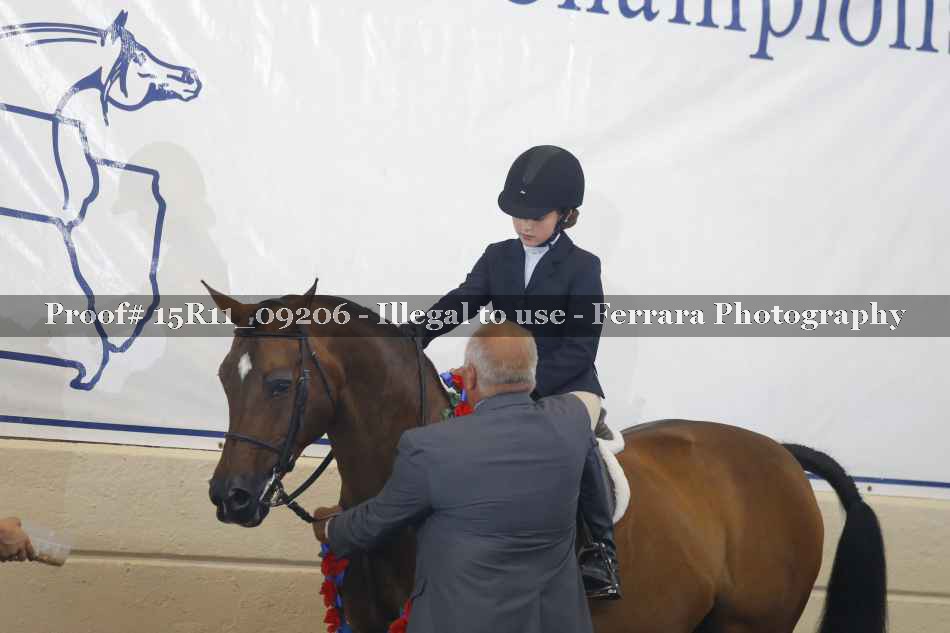 Proof 15R11_09206