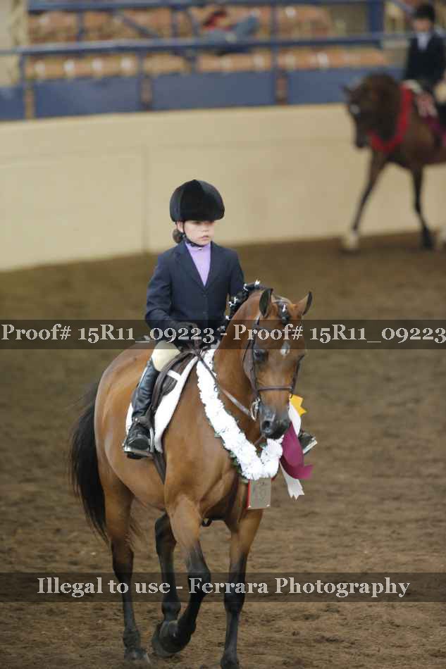 Proof 15R11_09223
