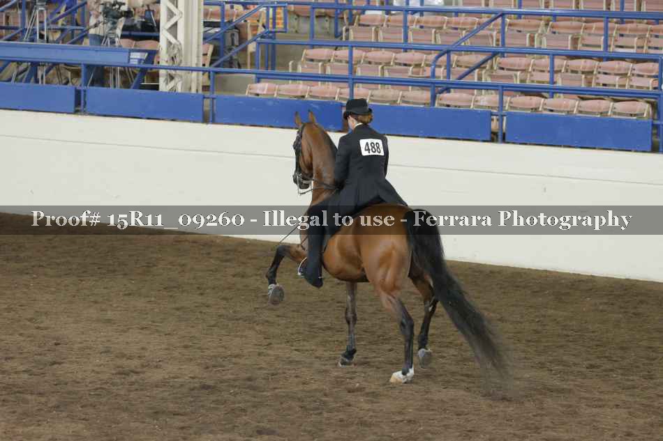Proof 15R11_09260