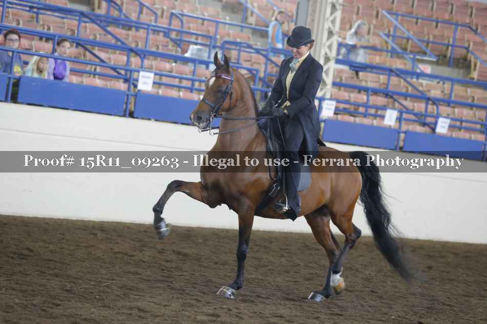 Proof 15R11_09263