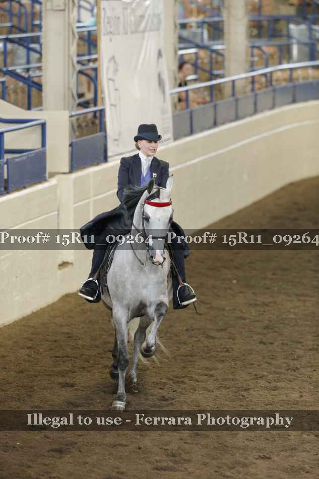 Proof 15R11_09264