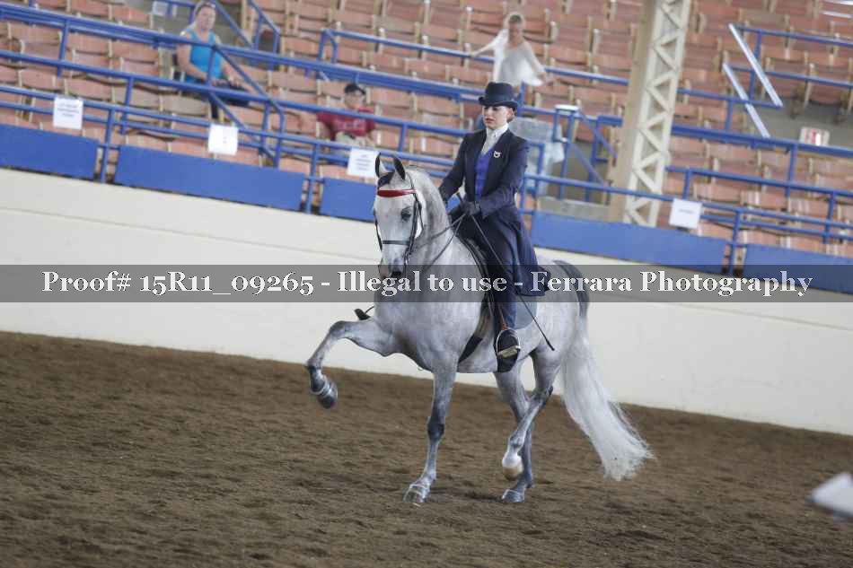 Proof 15R11_09265