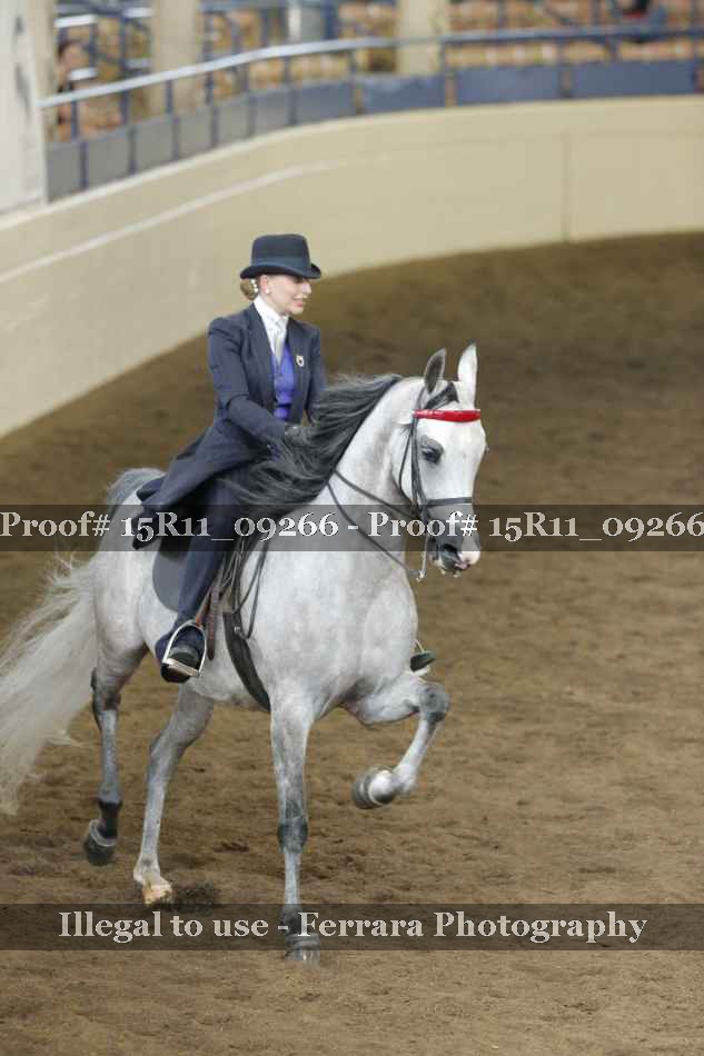 Proof 15R11_09266
