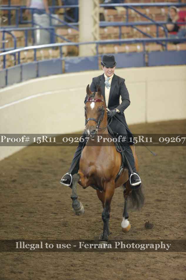 Proof 15R11_09267