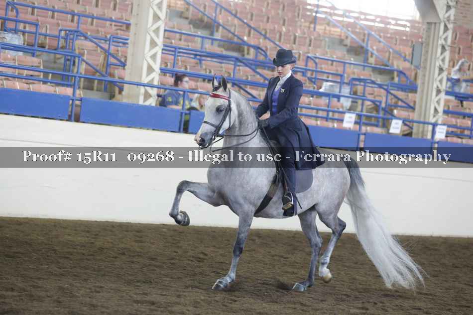Proof 15R11_09268