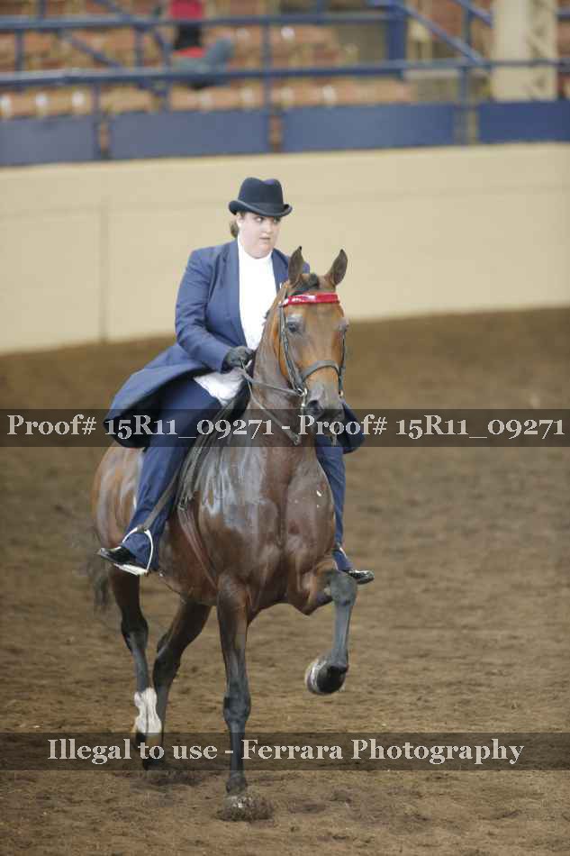 Proof 15R11_09271