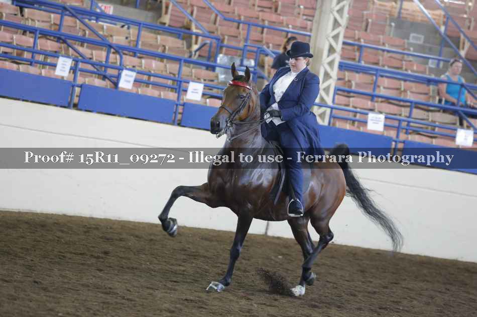 Proof 15R11_09272