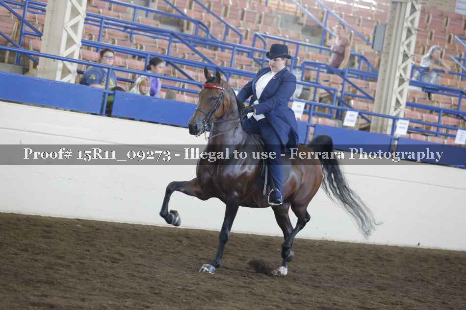 Proof 15R11_09273