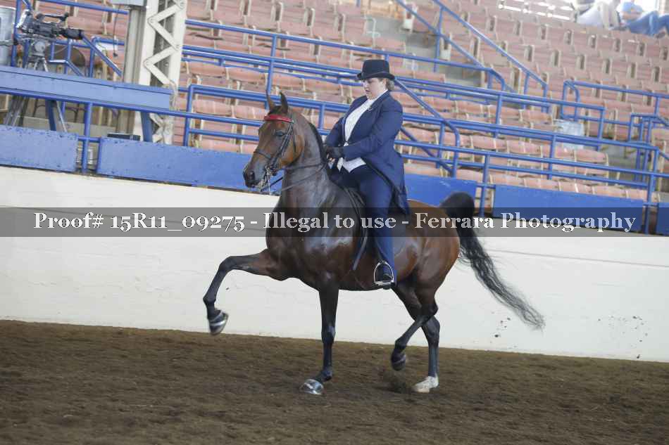 Proof 15R11_09275