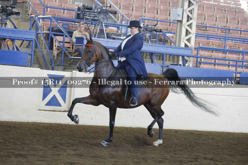 Proof 15R11_09276