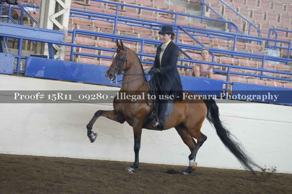 Proof 15R11_09280