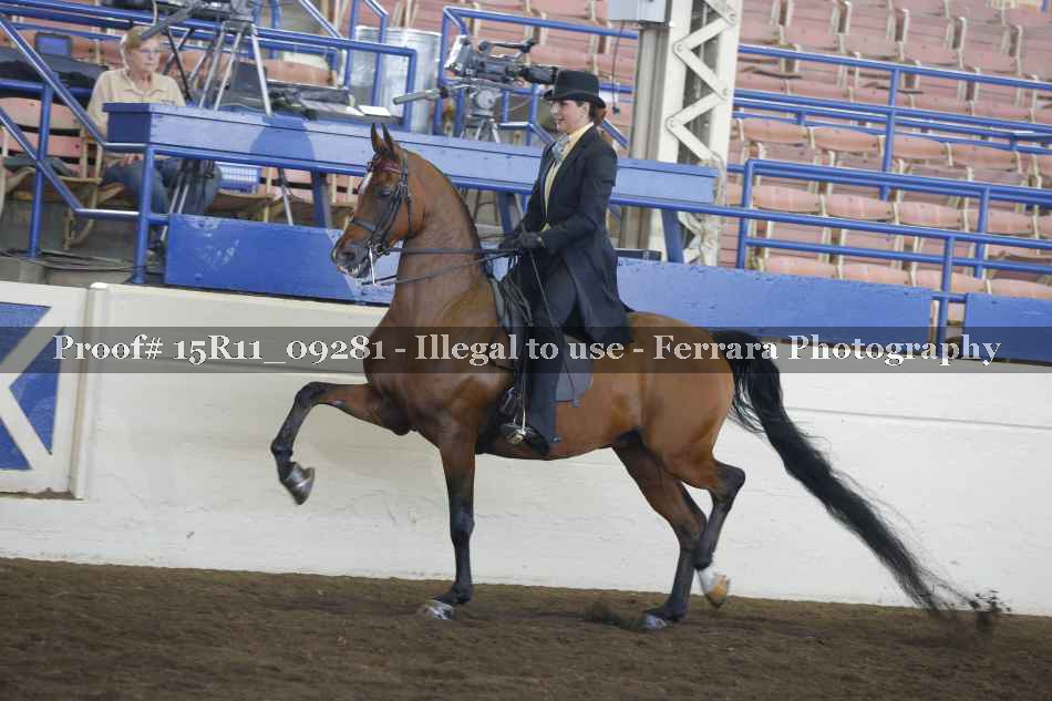 Proof 15R11_09281