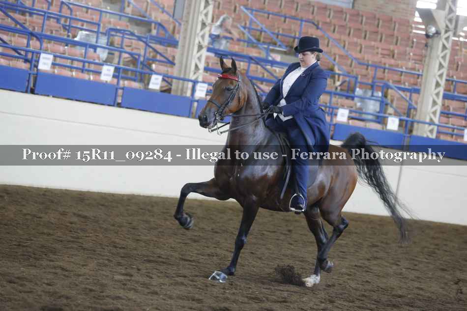 Proof 15R11_09284