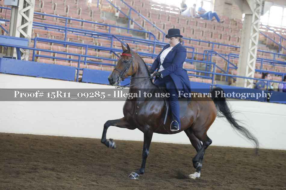 Proof 15R11_09285