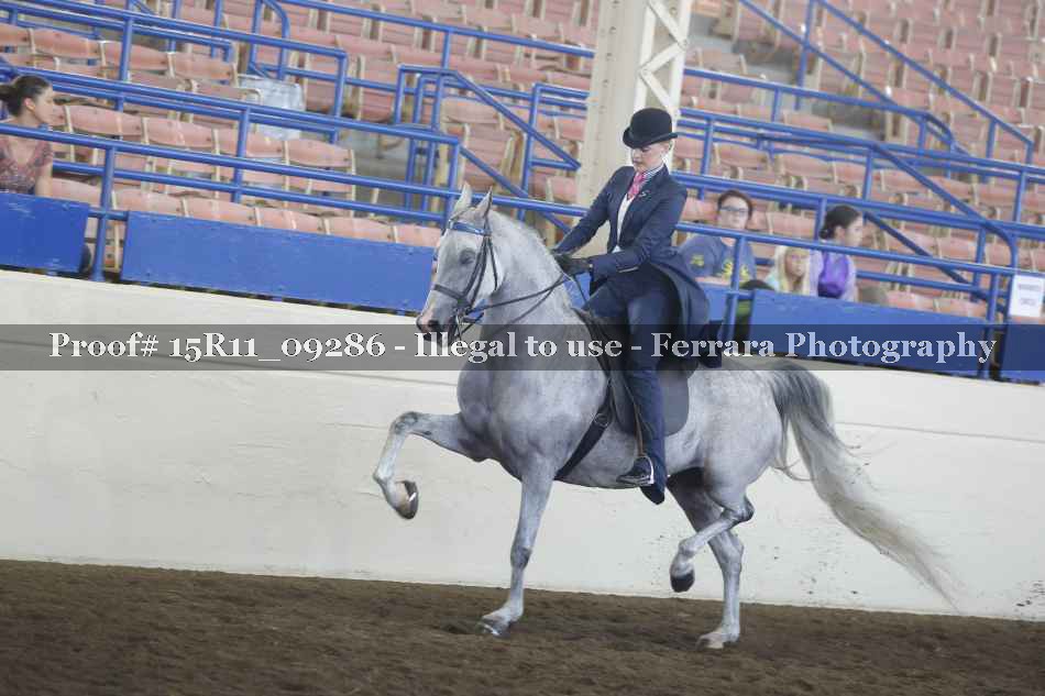 Proof 15R11_09286