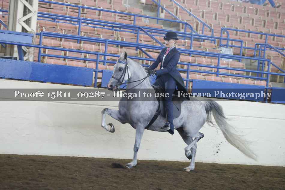 Proof 15R11_09287