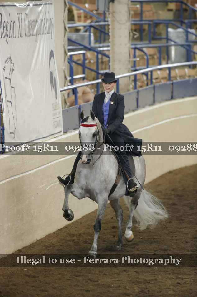 Proof 15R11_09288