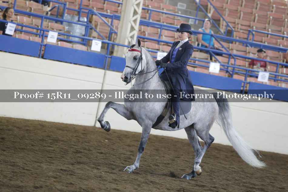 Proof 15R11_09289