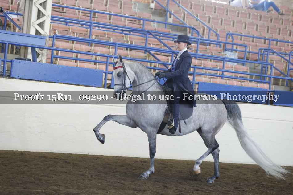 Proof 15R11_09290