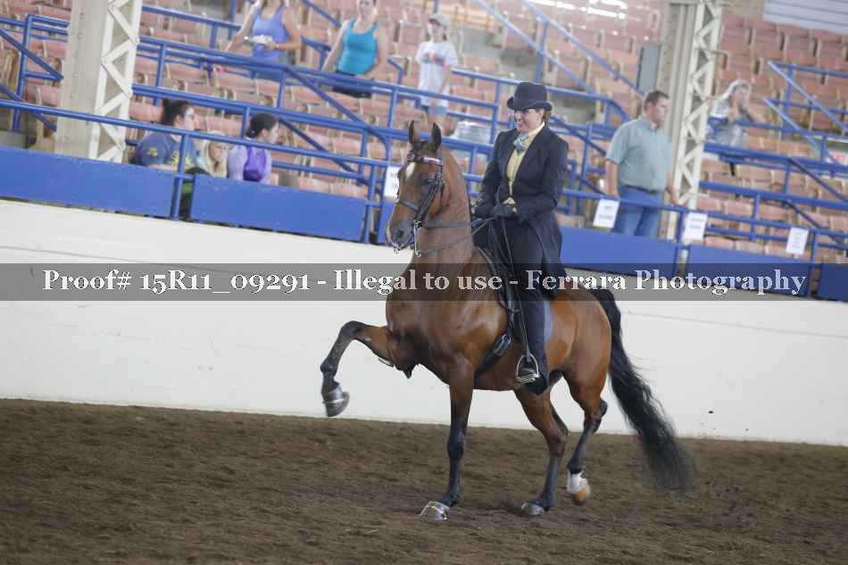 Proof 15R11_09291