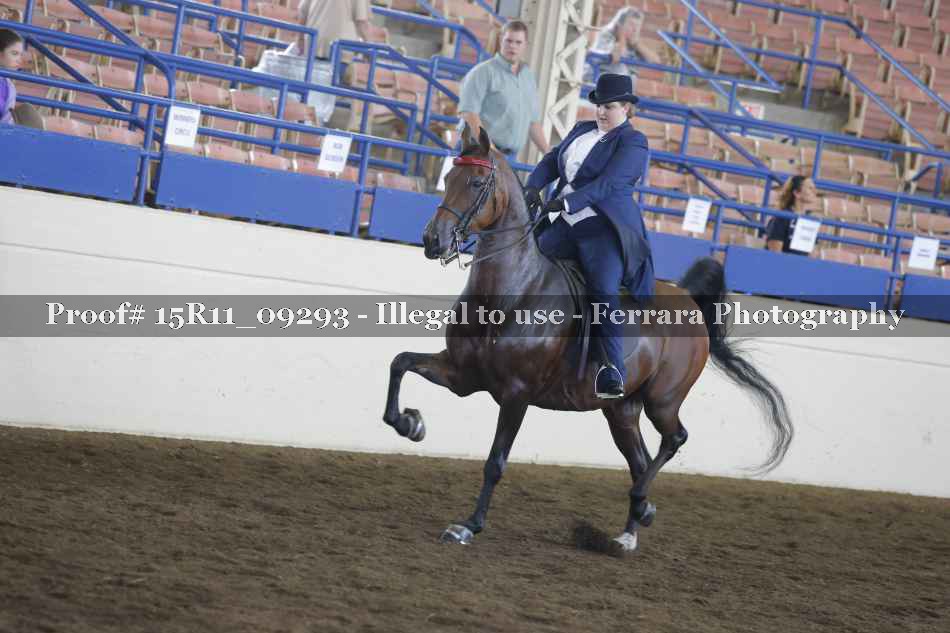 Proof 15R11_09293