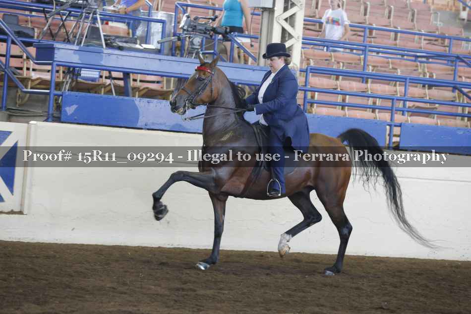 Proof 15R11_09294