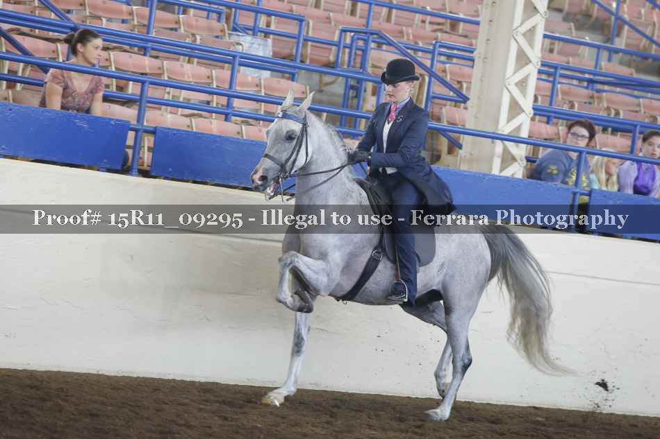 Proof 15R11_09295