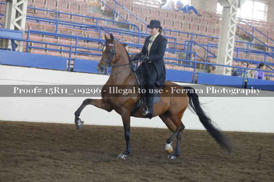 Proof 15R11_09296