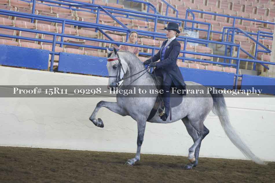 Proof 15R11_09298