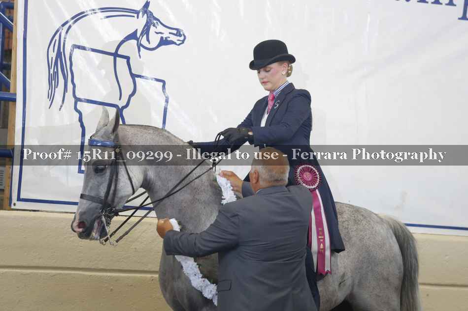 Proof 15R11_09299