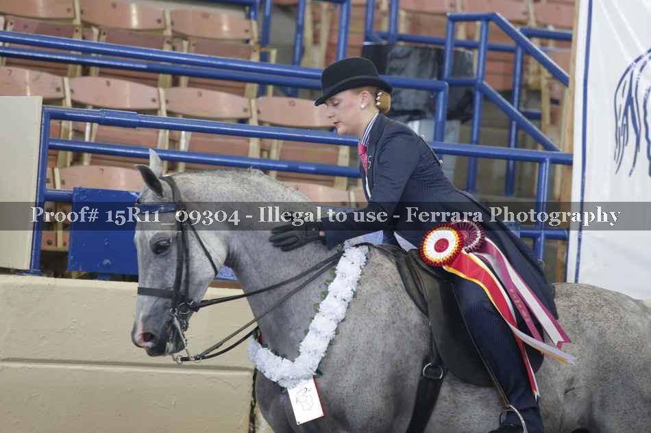 Proof 15R11_09304